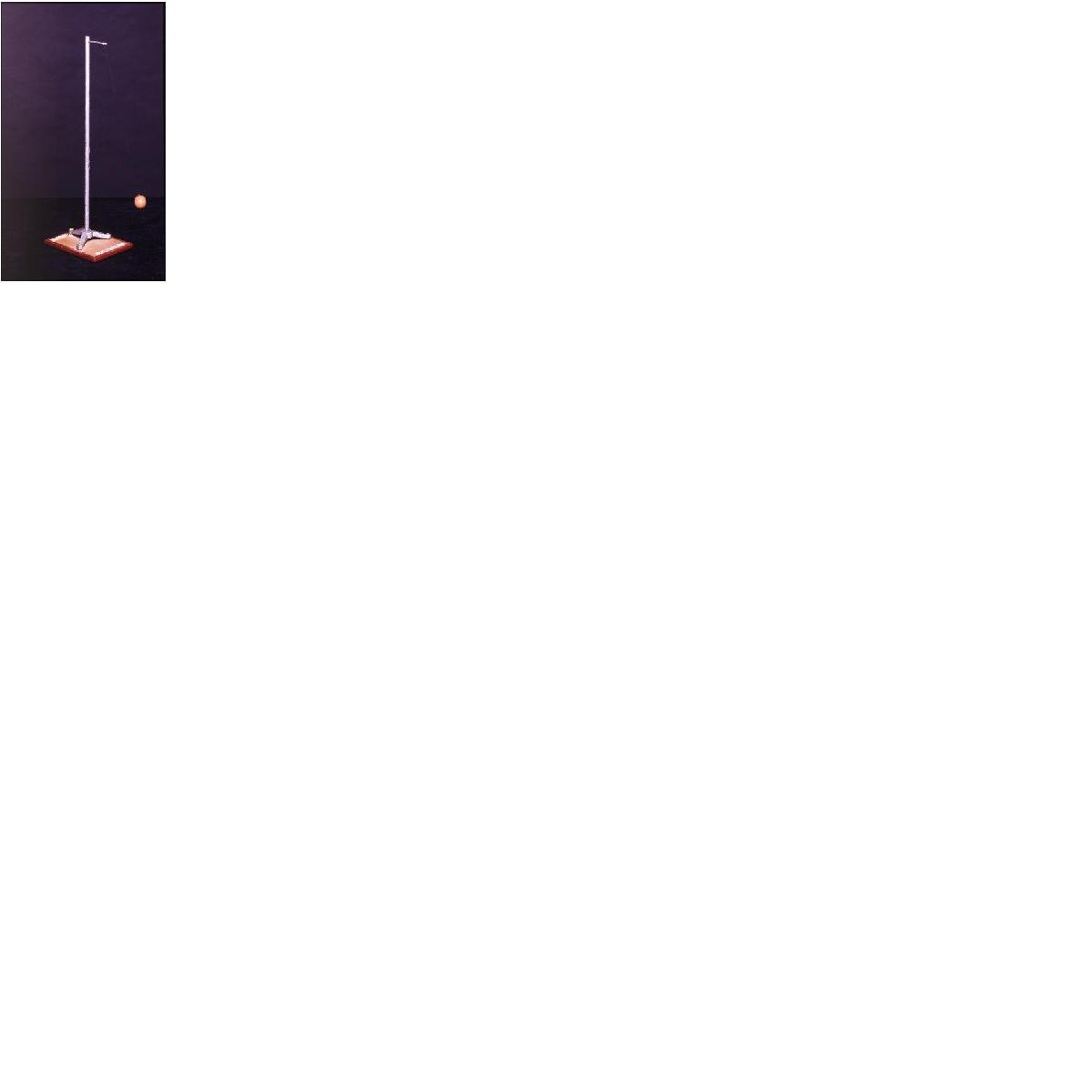 Pendulo foto.jpg