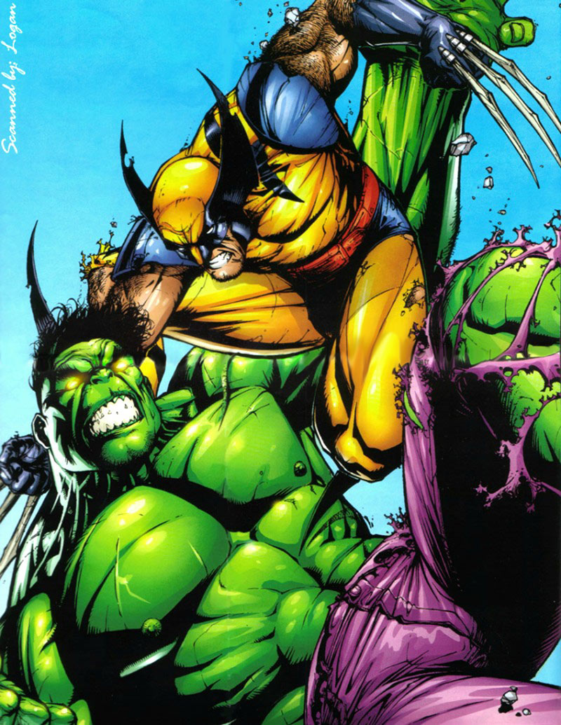 Wolverine161.jpg